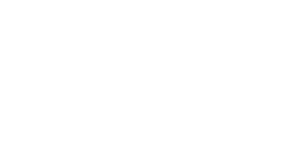 PARIS RAW HAIR