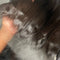 HD Lace Frontal — Straight Virgin Hair
